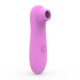 Vibromasseur succion rose  10 vitesses de voyage - BOZ-035PNK