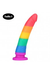 Gode ventouse multi-couleur taille S - DO-045-RAI-S