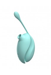 Vibromasseur à succion clitoridien avec son œuf vibrant à distance - 0-B0009TUR