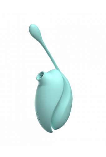 Vibromasseur à succion clitoridien avec son œuf vibrant à distance - 0-B0009TUR
