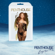 Calendrier de l’Avent Coquin Satisfyer Deluxe 2025 – 24 surprises - SADELUXE