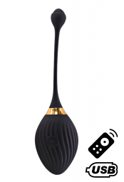 Œuf noir vibrant USB avec télécommande