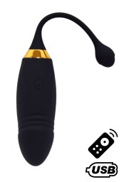 Oeuf vibrant noir USB avec télécommande