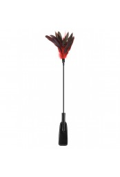 Cravache noire bdsm avec plumes noires rouges